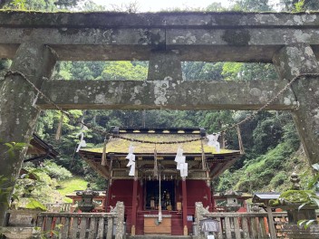 営業再開しました。ドライブしませんか？